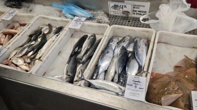 WhatsApp Image 2025-11-14 at 09.23.42.jpeg